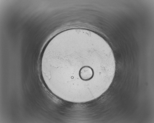 X0000062611514200601040926