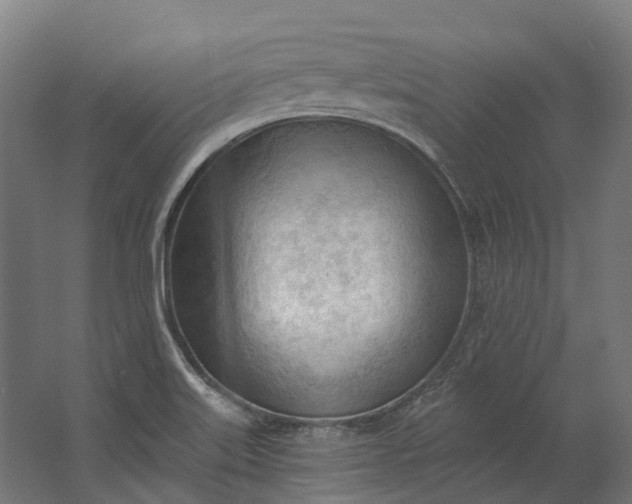 X0000062611515200601040926