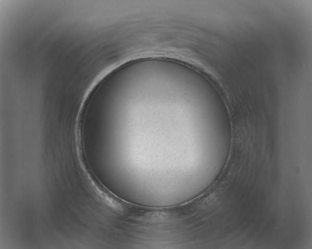 X0000062611517200601040926