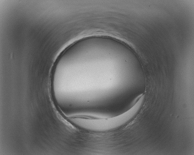 X0000062611518200601040926