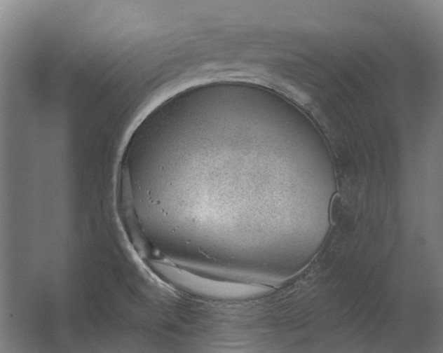 X0000062611520200601040926