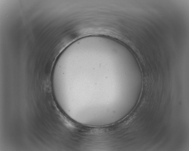 X0000062611521200601040926