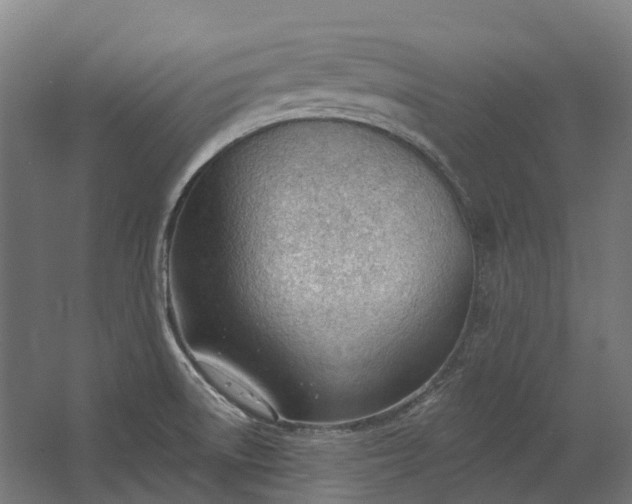 X0000062611522200601040926