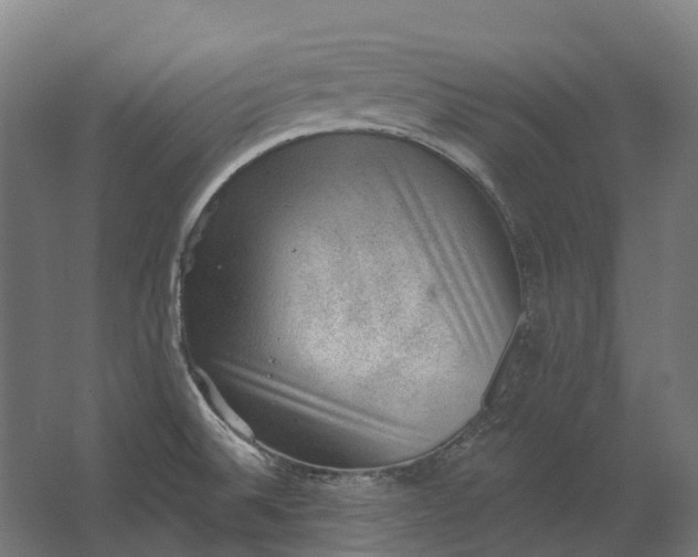 X0000062611524200601040926