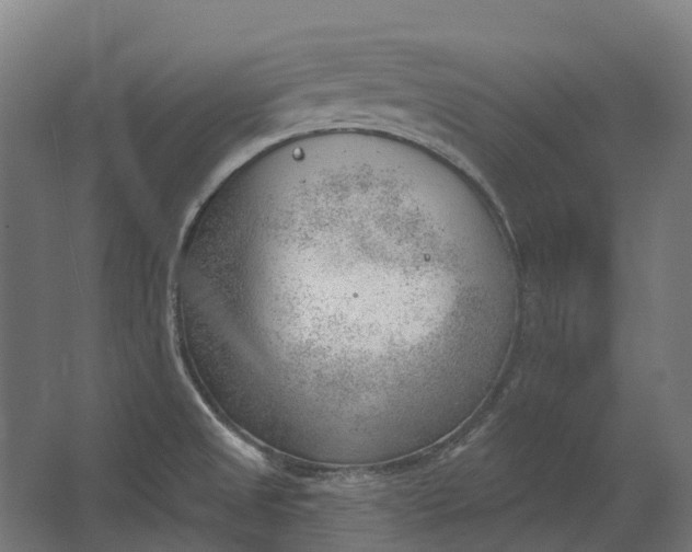 X0000062611525200601040926