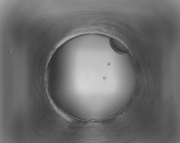 X0000062611526200601040926