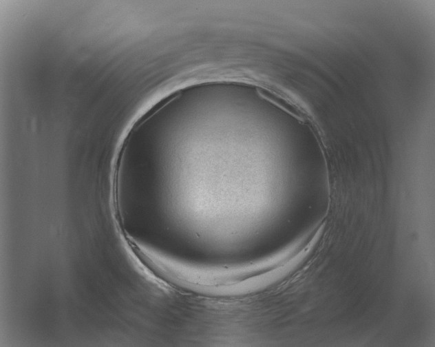 X0000062611528200601040926