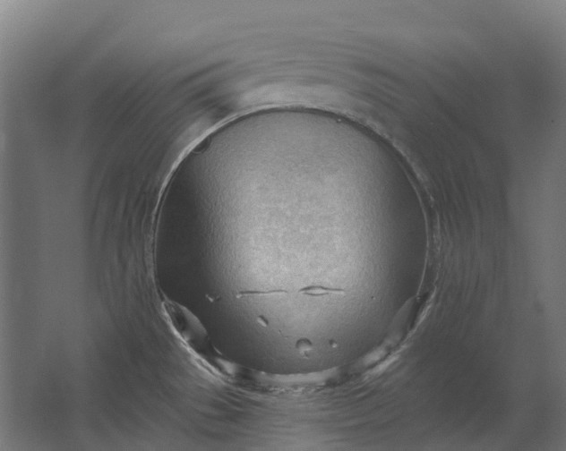 X0000062611529200601040926