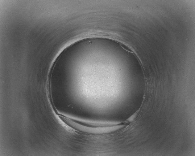 X0000062611531200601040926