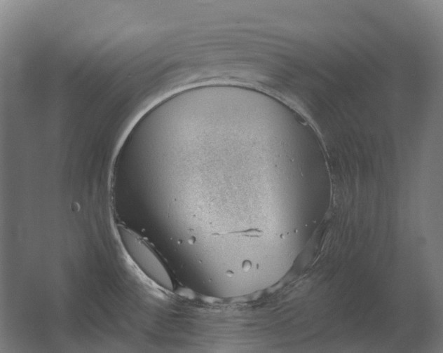 X0000062611532200601040926