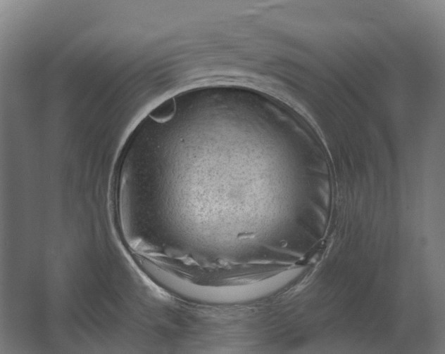 X0000062611533200601040926