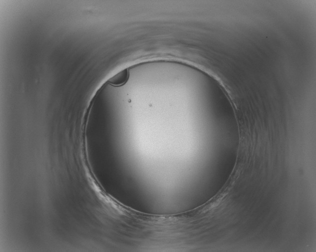 X0000062611534200601040926