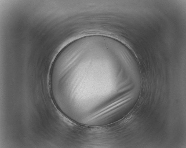 X0000062611535200601040926