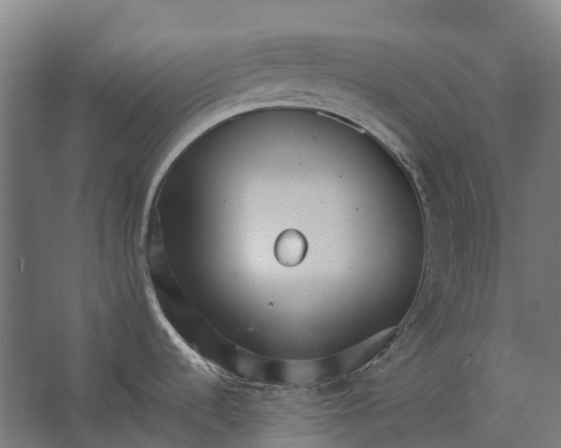 X0000062611536200601040926