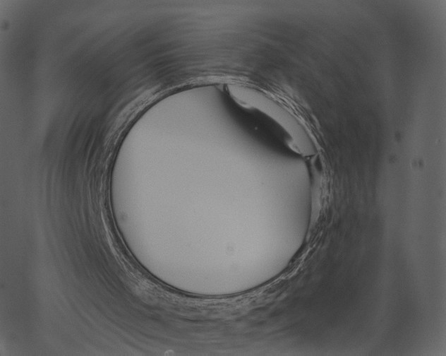 X0000062610001200601111020