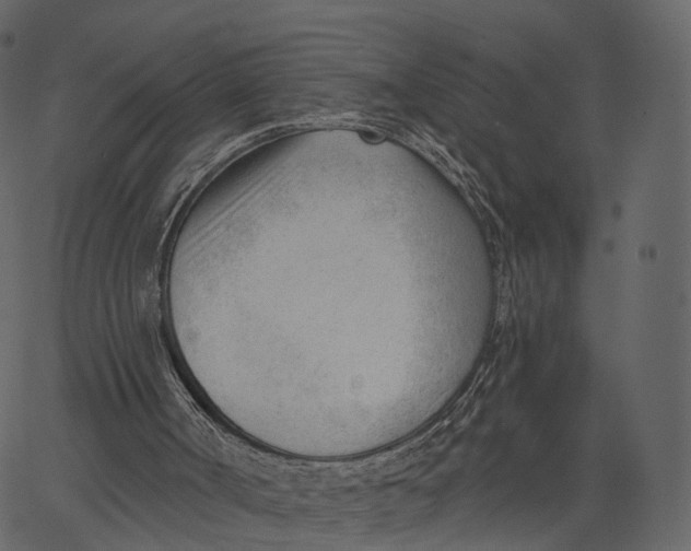 X0000062610002200601111020