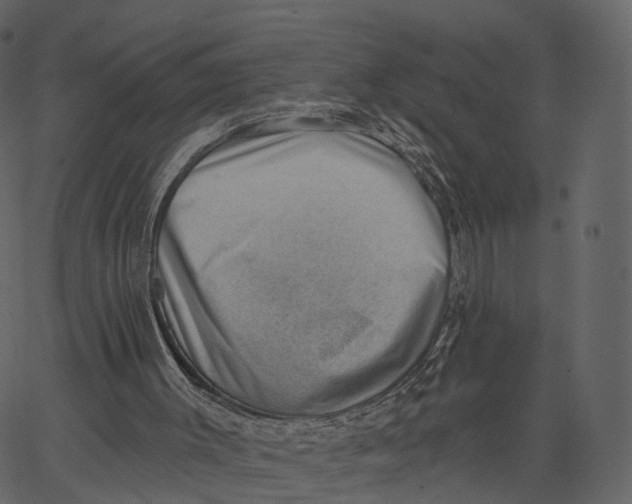 X0000062610003200601111020