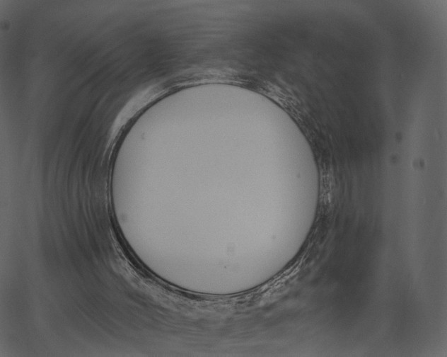 X0000062610004200601111020