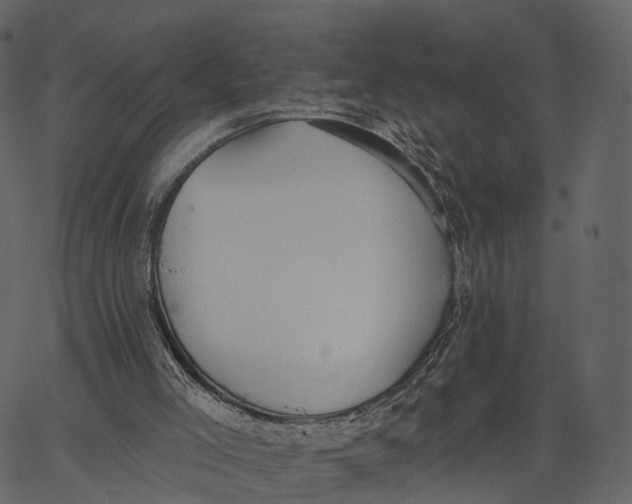 X0000062610005200601111020