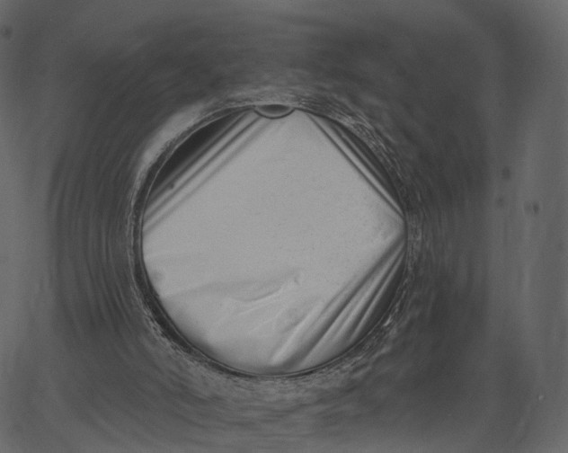 X0000062610006200601111020