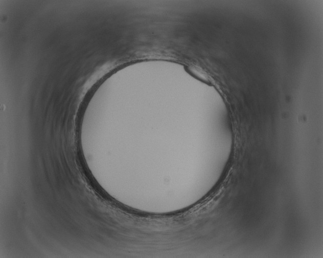 X0000062610008200601111020