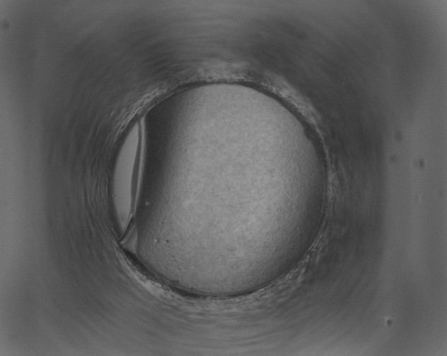 X0000062610009200601111020