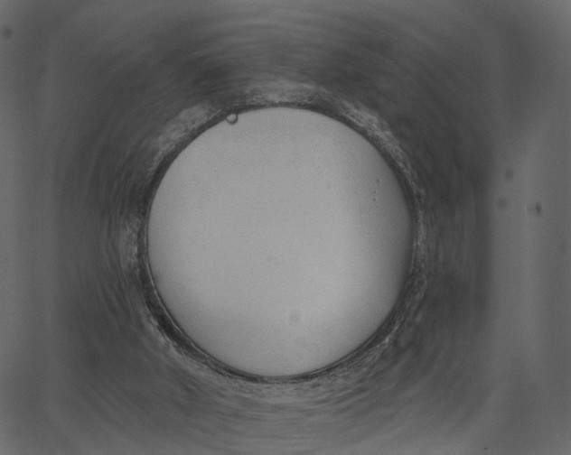 X0000062610010200601111020