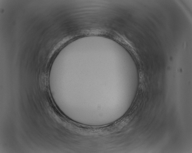 X0000062610012200601111020