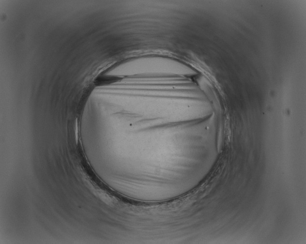 X0000062610013200601111020