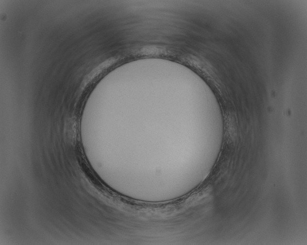 X0000062610016200601111020