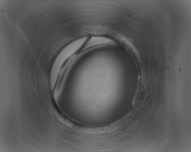 X0000062610017200601111020