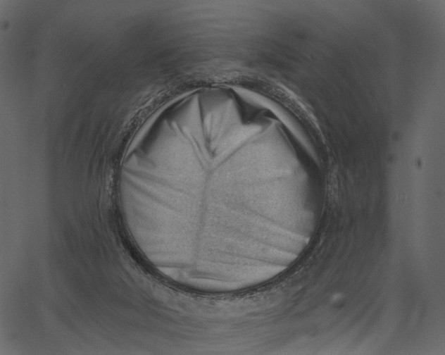 X0000062610018200601111020