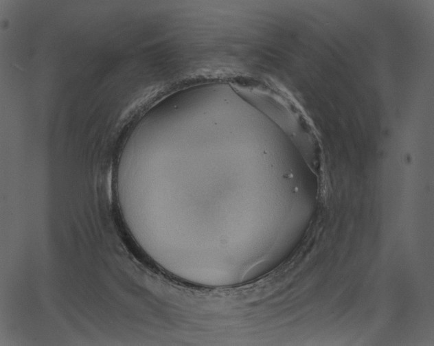 X0000062610019200601111020