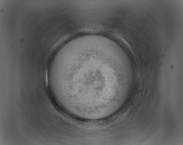 X0000062610020200601111020