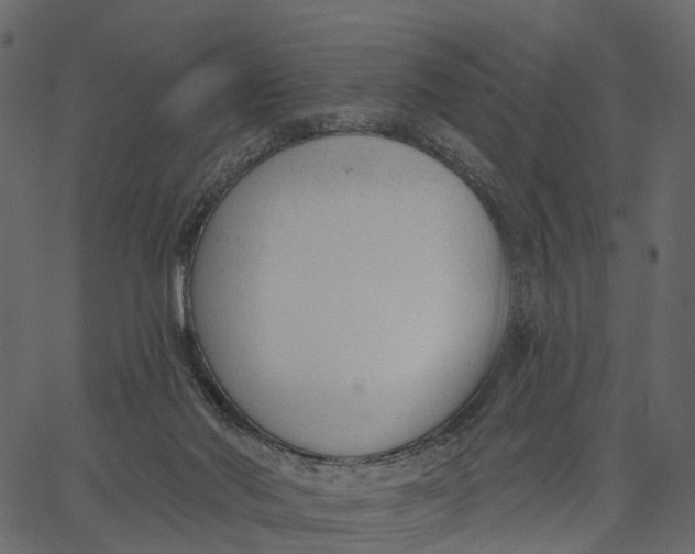 X0000062610022200601111020