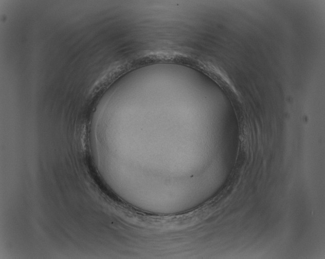 X0000062610023200601111020