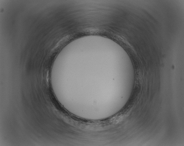 X0000062610024200601111020