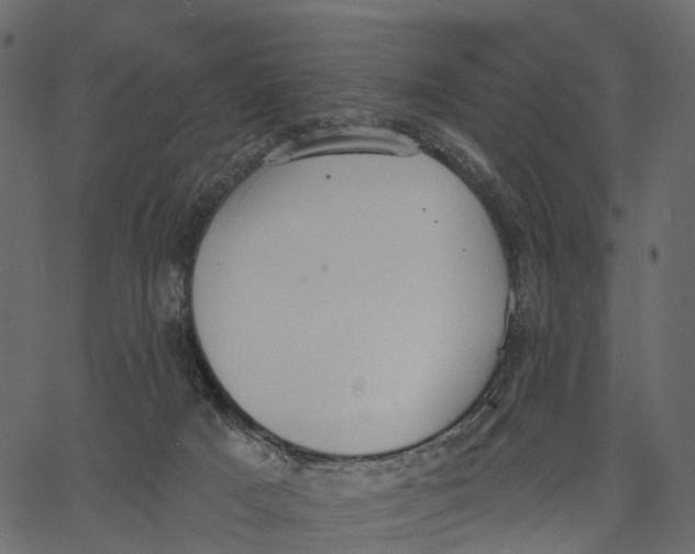 X0000062610025200601111020