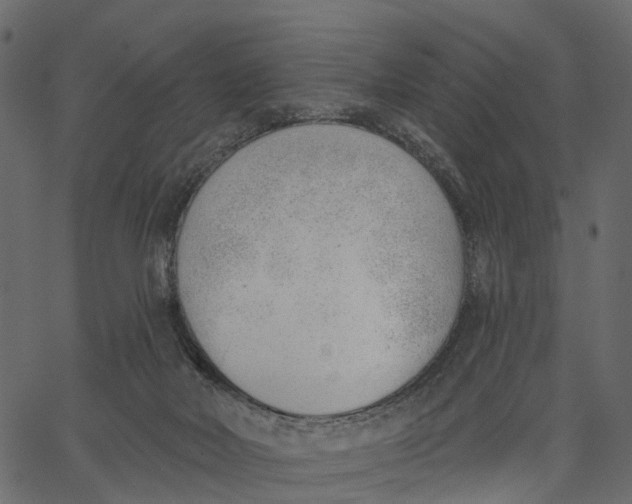 X0000062610026200601111020