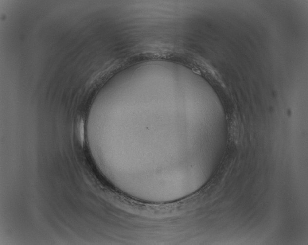 X0000062610027200601111020