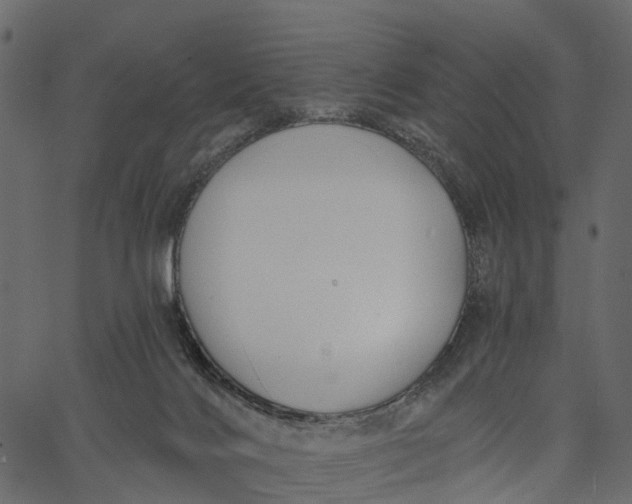 X0000062610028200601111020