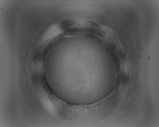 X0000062610029200601111020