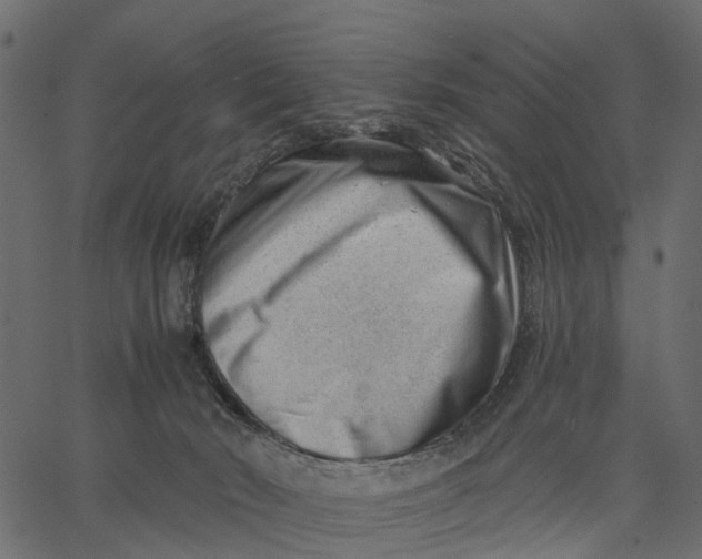 X0000062610030200601111020