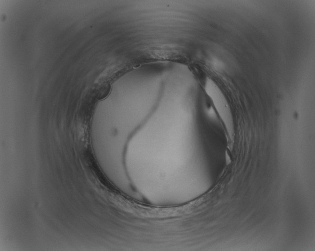 X0000062610031200601111020