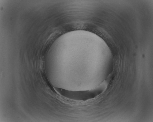 X0000062610035200601111020