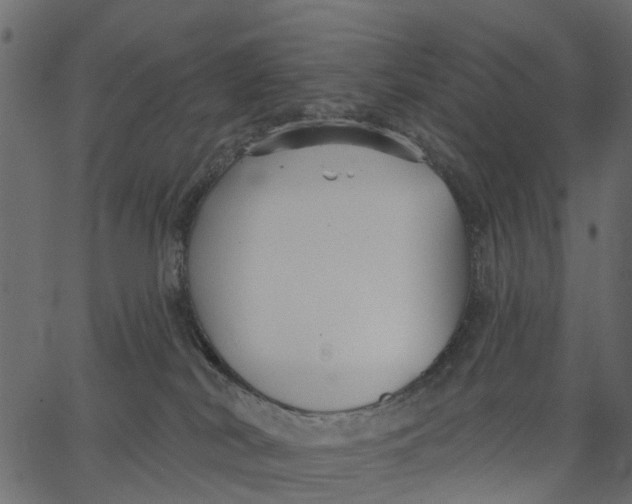 X0000062610038200601111020