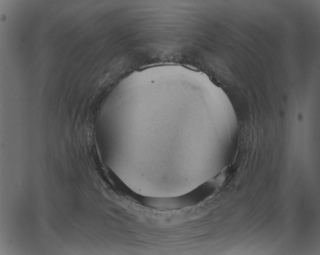 X0000062610039200601111020