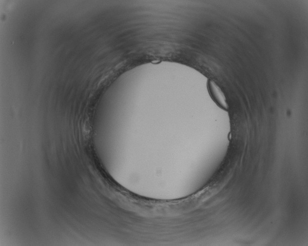 X0000062610040200601111020