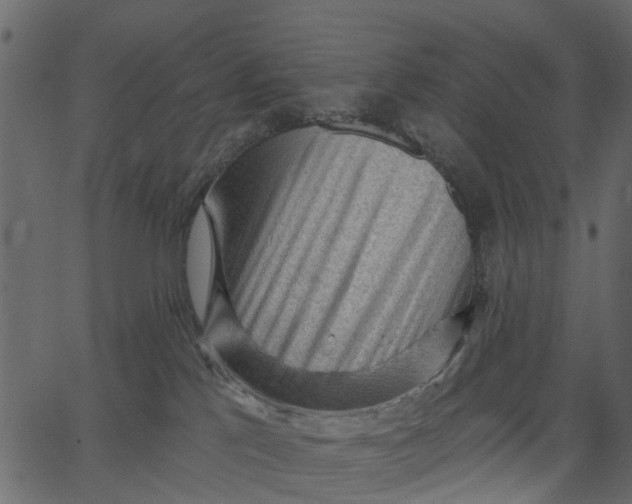 X0000062610041200601111020