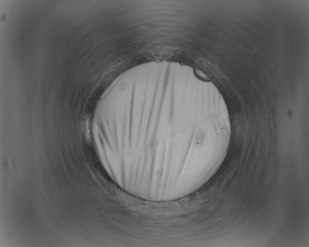 X0000062610042200601111020